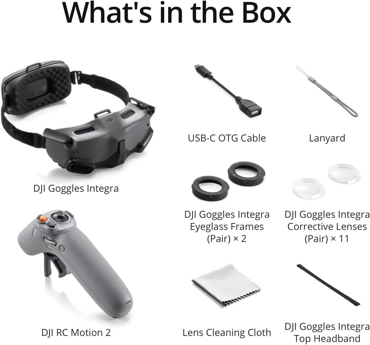 DJI Goggles Integra Motion Combo